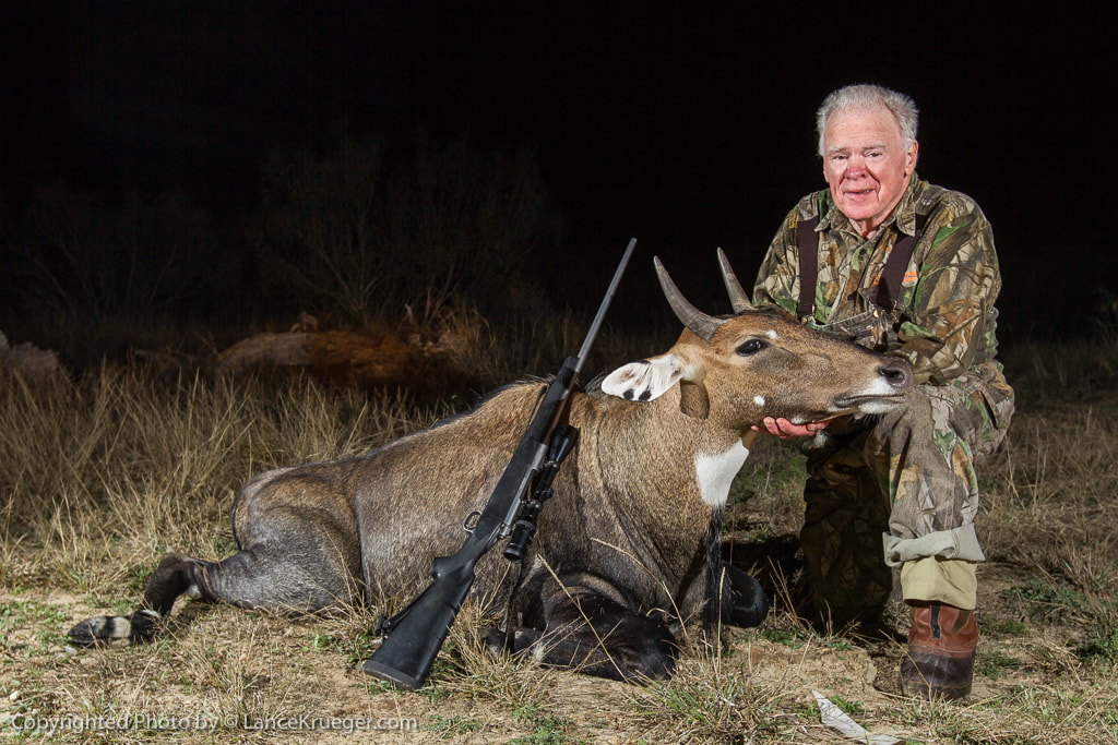 Nilgai Hunt