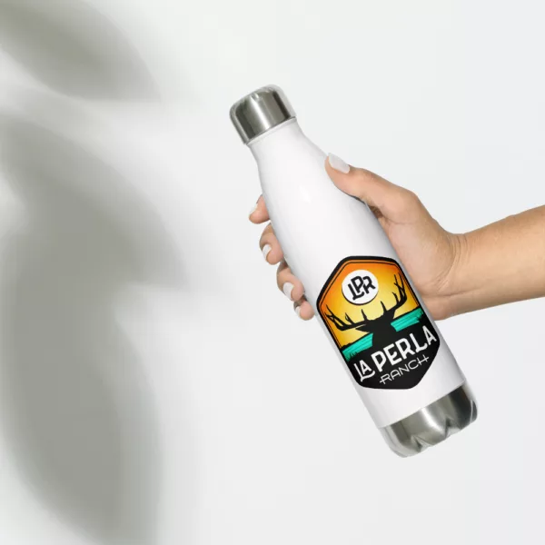 Stainless Steel Water Bottle